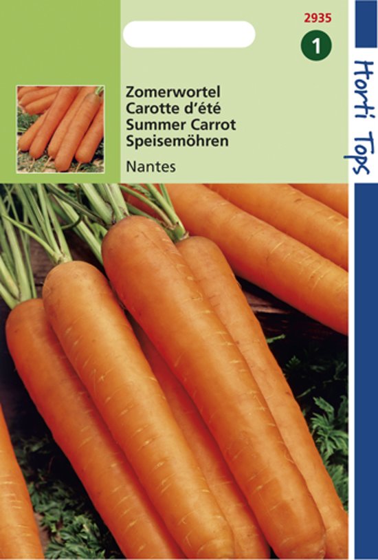 Carrot Nantes 2 (Daucus) 3000 seeds